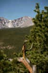 RMNP-Longs_Peak.jpg (31348 bytes)